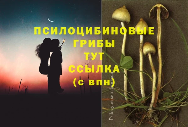 PSILOCYBIN Верхнеуральск