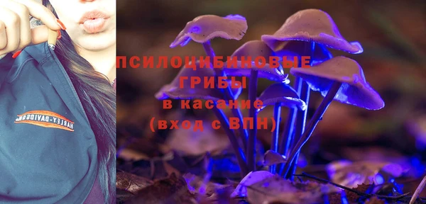 PSILOCYBIN Верхнеуральск